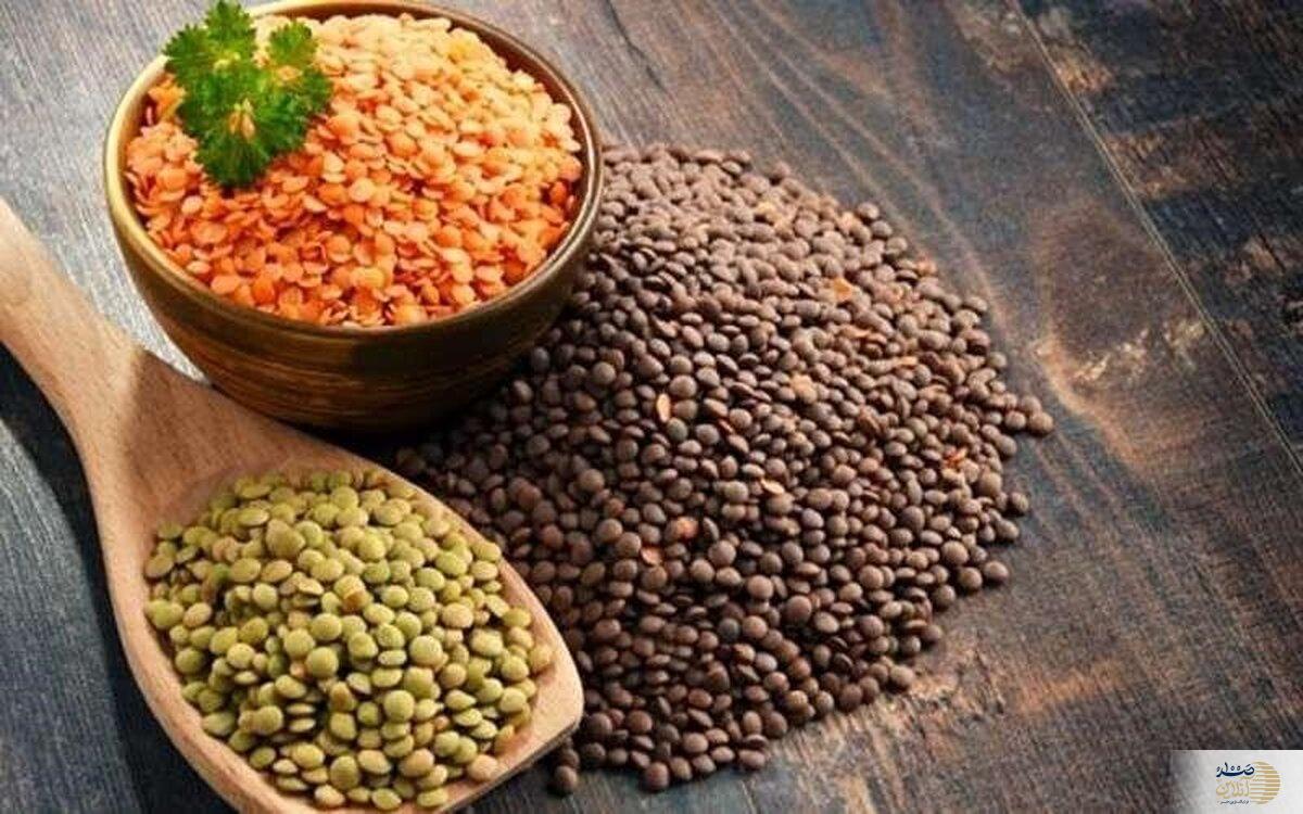 از ریزش مو خسته شدید فقط این حبوبات ریز نقش را بخورید