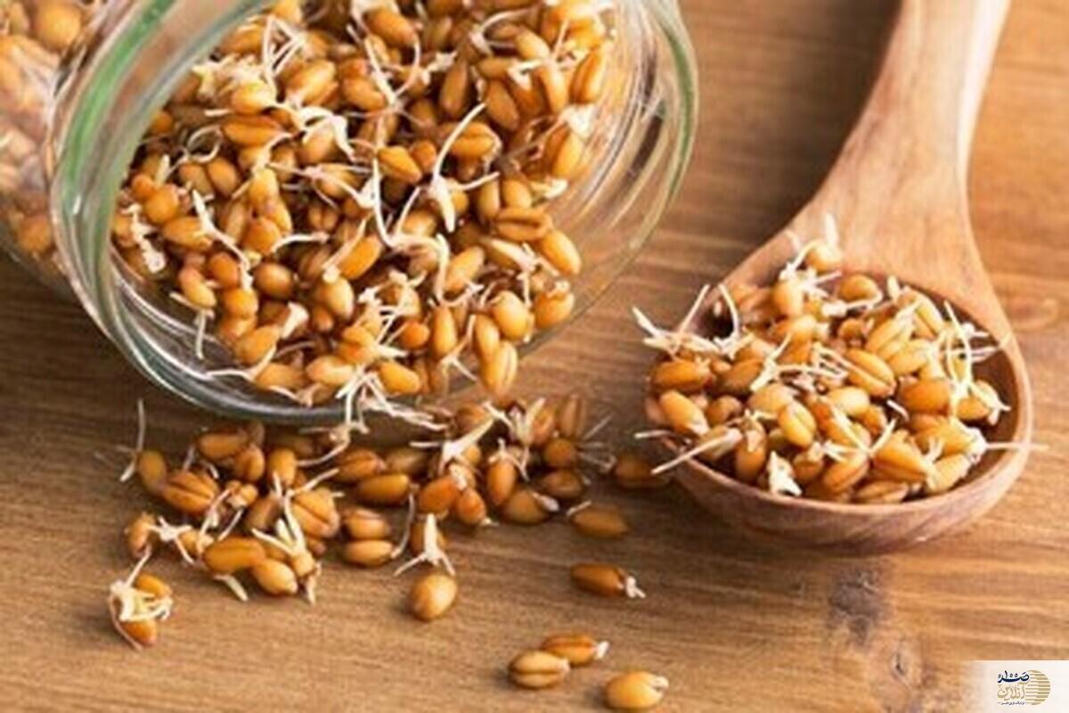 اکسیر جوانی را بشناسید/ ماده غذایی در دسترس همیشگی