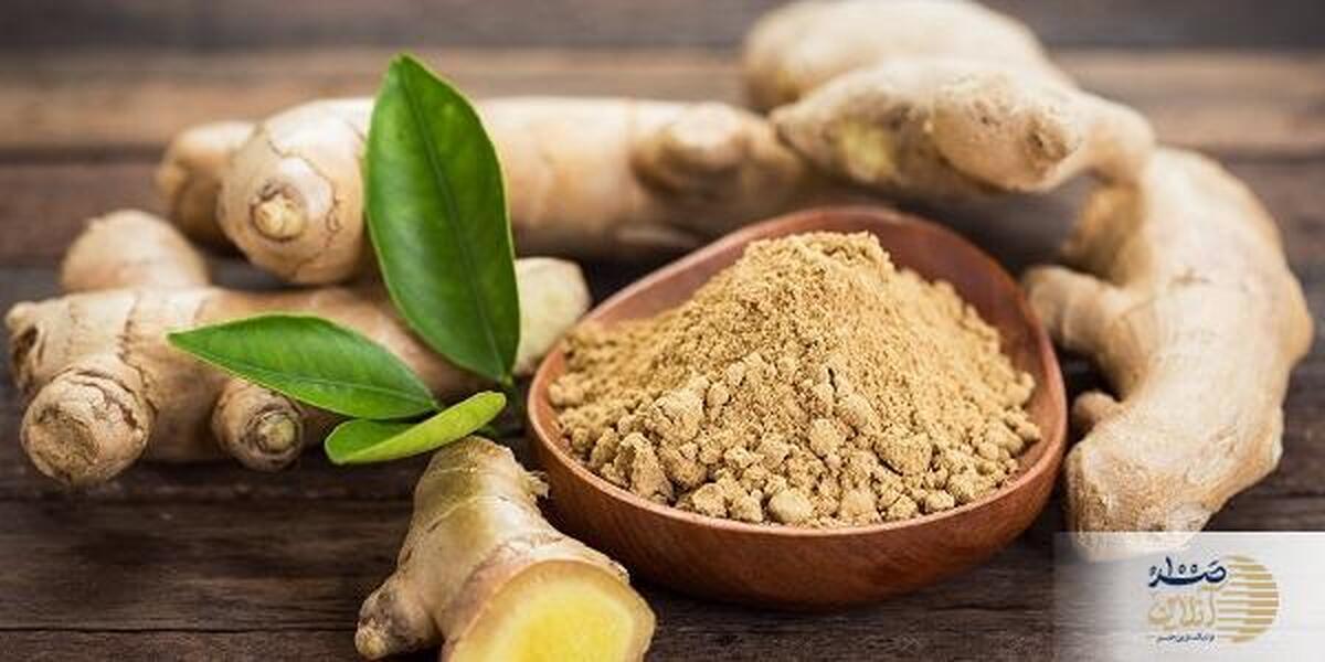 معجزه پودر این گیاه برای موهای کم‌پشت/ رشد سریع و ضخامت بی‌نظیر