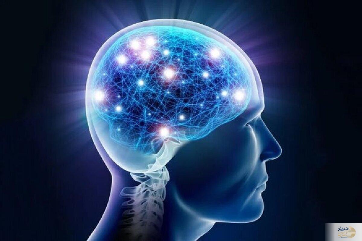 هوش، میراث خانوادگی یا دستاورد شخصی؟
