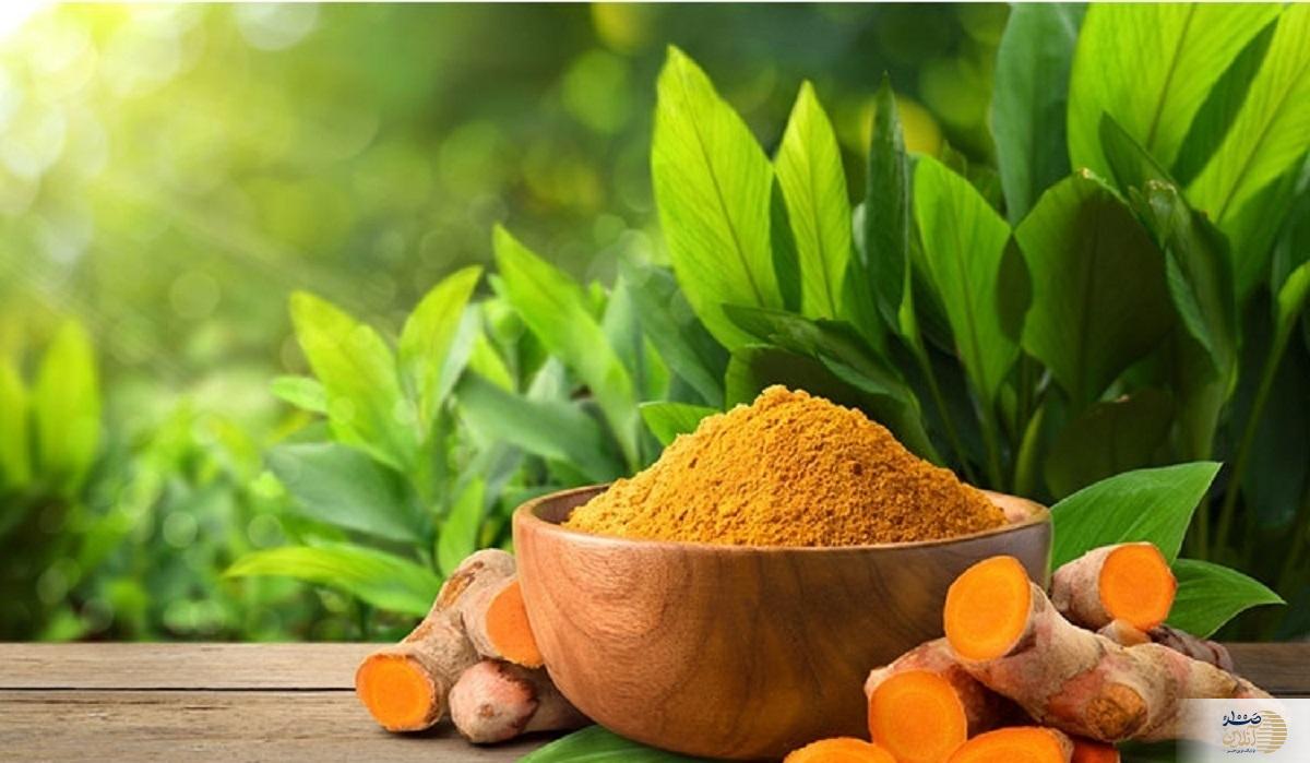 اگر میخواهید به آلزایمر دچار نشوید این ادویه پرمصرف را بیشتر استفاده کنید