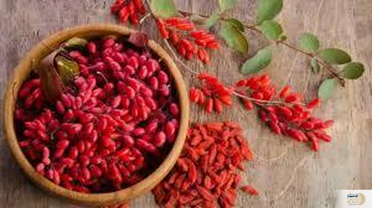 معجزه دمنوش این میوه ریز نقش ترش مزه برای دیابتی ها که از آن بی خبرید
