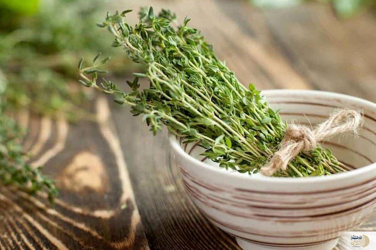 سیستم تنفسی و ریه هایتان را با این ادویه خوش طعم تقویت کنید