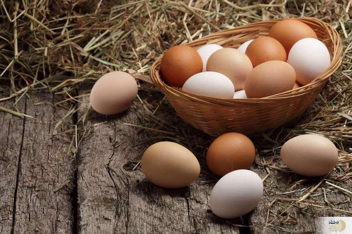 گنجینه‌ی تغذیه‌ای با ۵ راز مهم/ این  پروتئین کوچک را جدی بگیرید