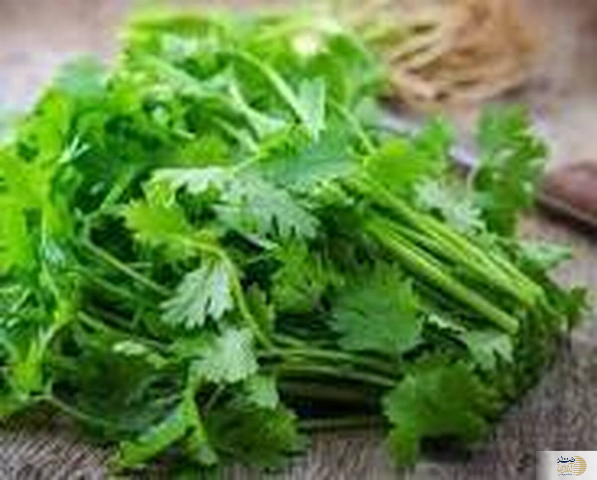 با این گیاه خوشبو ۲۲ بیماری را از خود دور کنید!