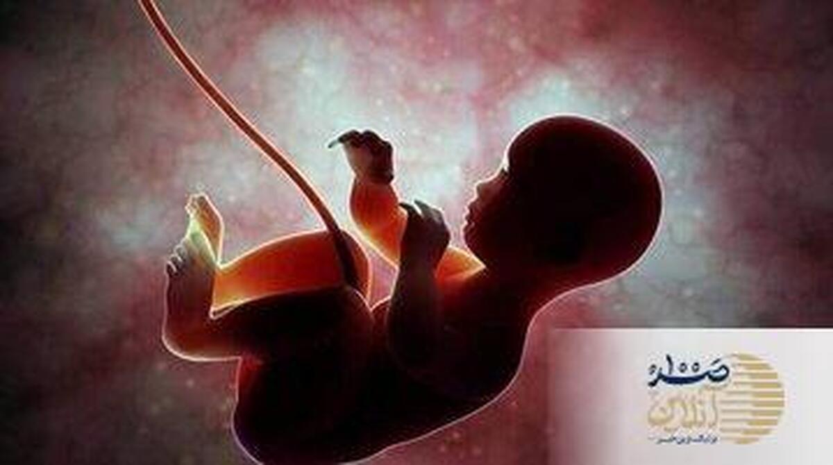 جزئیات فتوای آیت‌الله شبیری زنجانی درباره سقط جنین