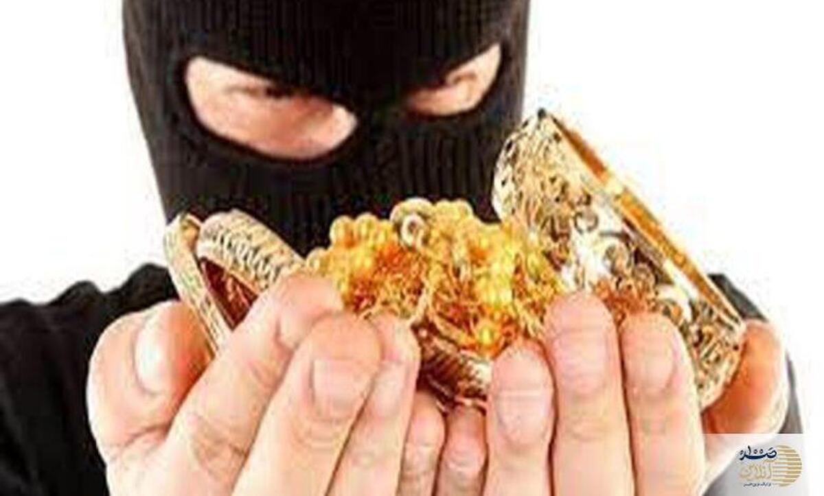 پشت پرده دستگیری زوج هنرمندنما/ از دی‌جی عروسی تا سارق حرفه‌ای!