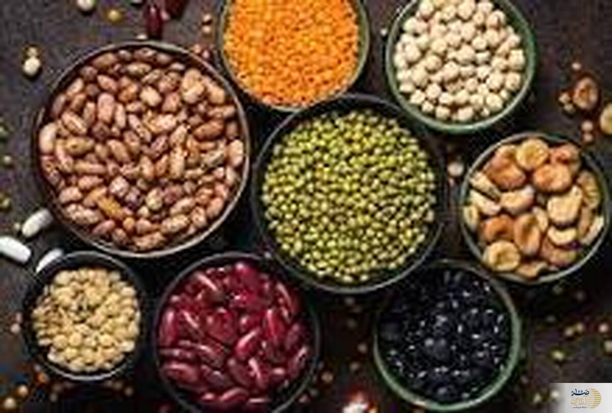 از مصرف این نوع پروتئین ها غافل نشوید