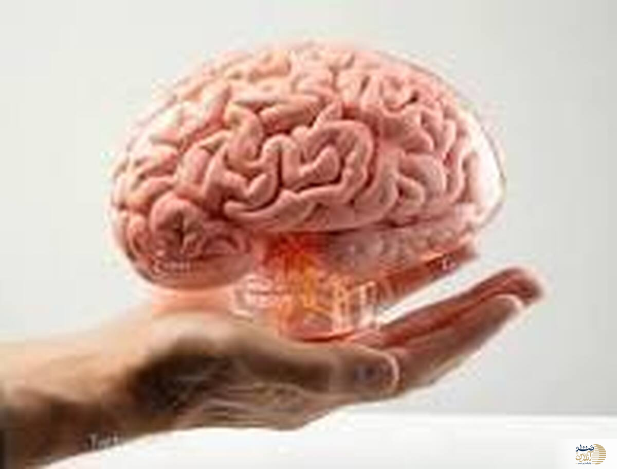 این  غذاها IQ شما را ذوب می‌کنند