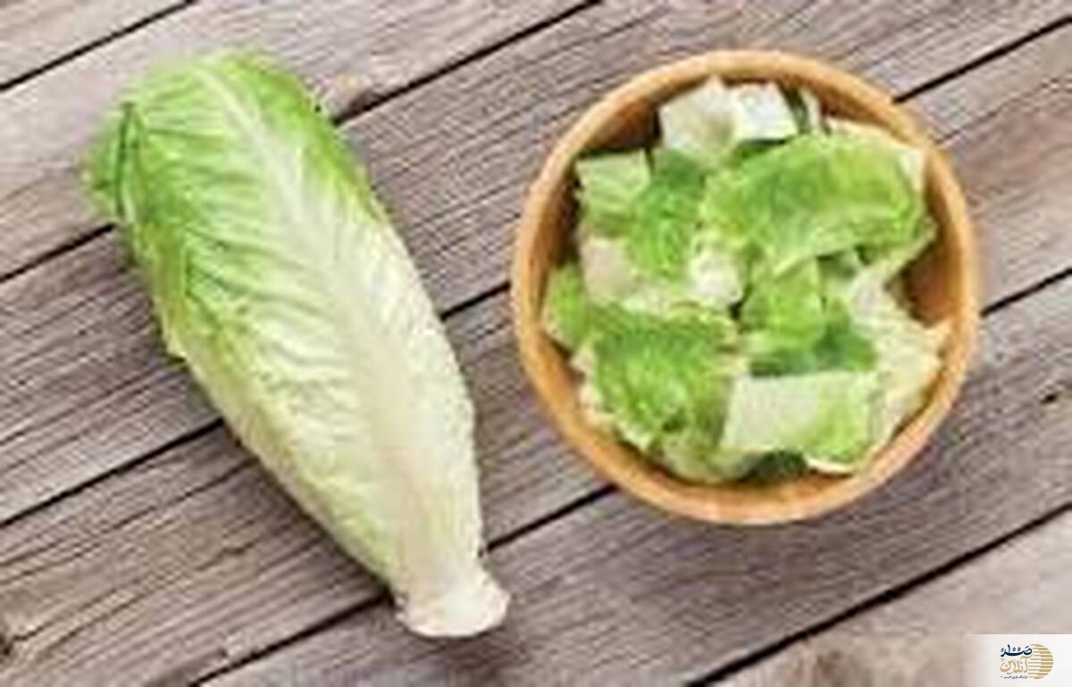 طلای سفیدِ دورریختنی/ ارزش غذایی شگفت‌انگیزی که نادیده گرفته‌اید
