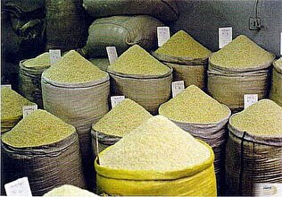 شوک قیمتی در بازار برنج/ جدیدترین نرخهای ۷ تیر ۱۴۰۴ را فورا ببینید