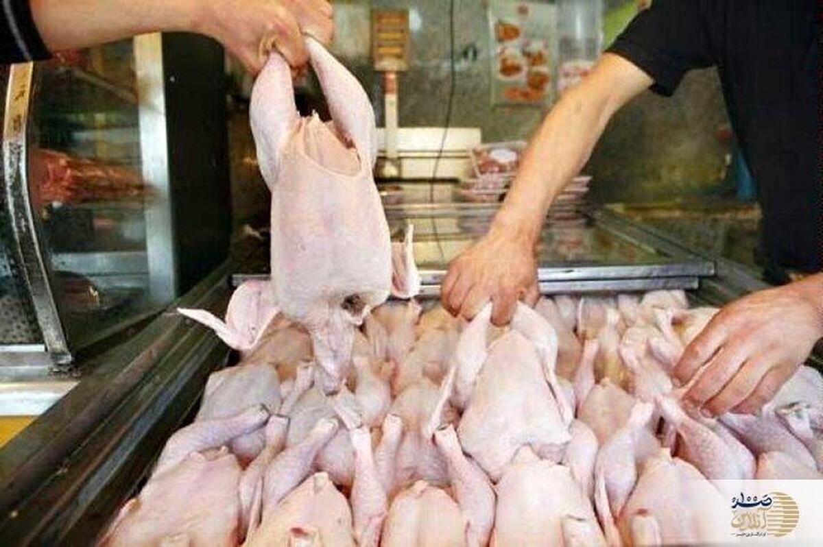 افزایش عرضه مرغ و تخم‌مرغ در فروشگاه‌های زنجیره‌ای با قیمت مصوب