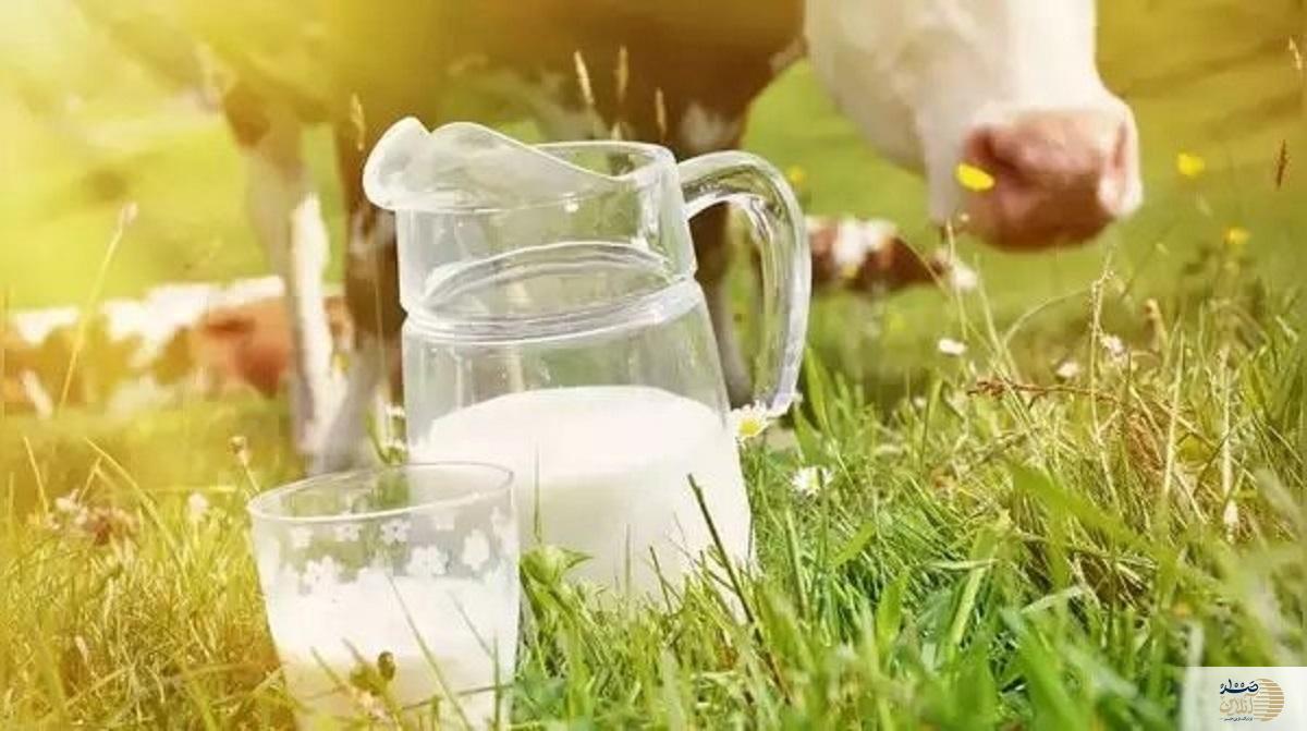 اگر قلبتان را دوست دارید در نوع انتخاب پنیر دقت کنید