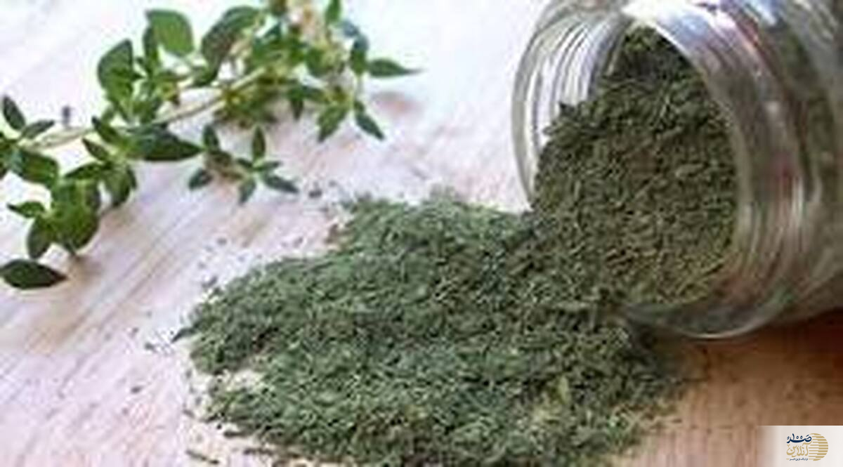 آروغ زدن شما در جمع کلافه تان کرده است/ این گیاه مخصوص شماست