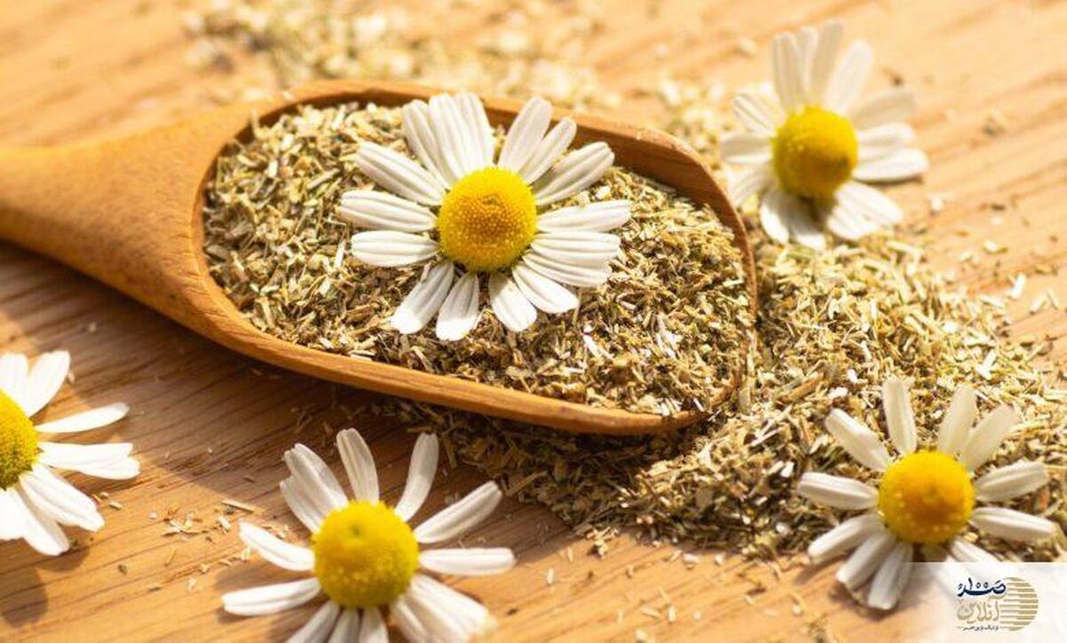 کاهش دردهای عضلانی و التهاب با مصرف منظم این دمنوش