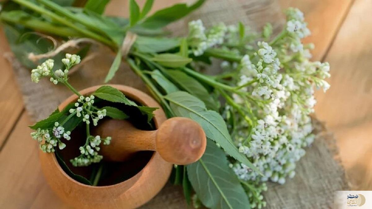 اعصاب شما بهم ریخته است/ این گیاه مخصوص شماست