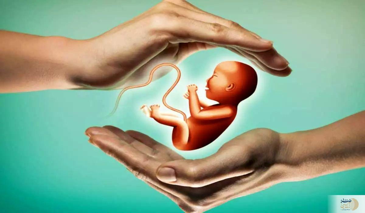 جنین‌های بیمارستان آبان در ابهام/ تصمیم نهایی در انتظار مرجع قضایی