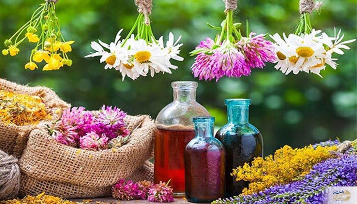 تاثیر مثبت این نوع داروهای طبیعی بر حافظه شما