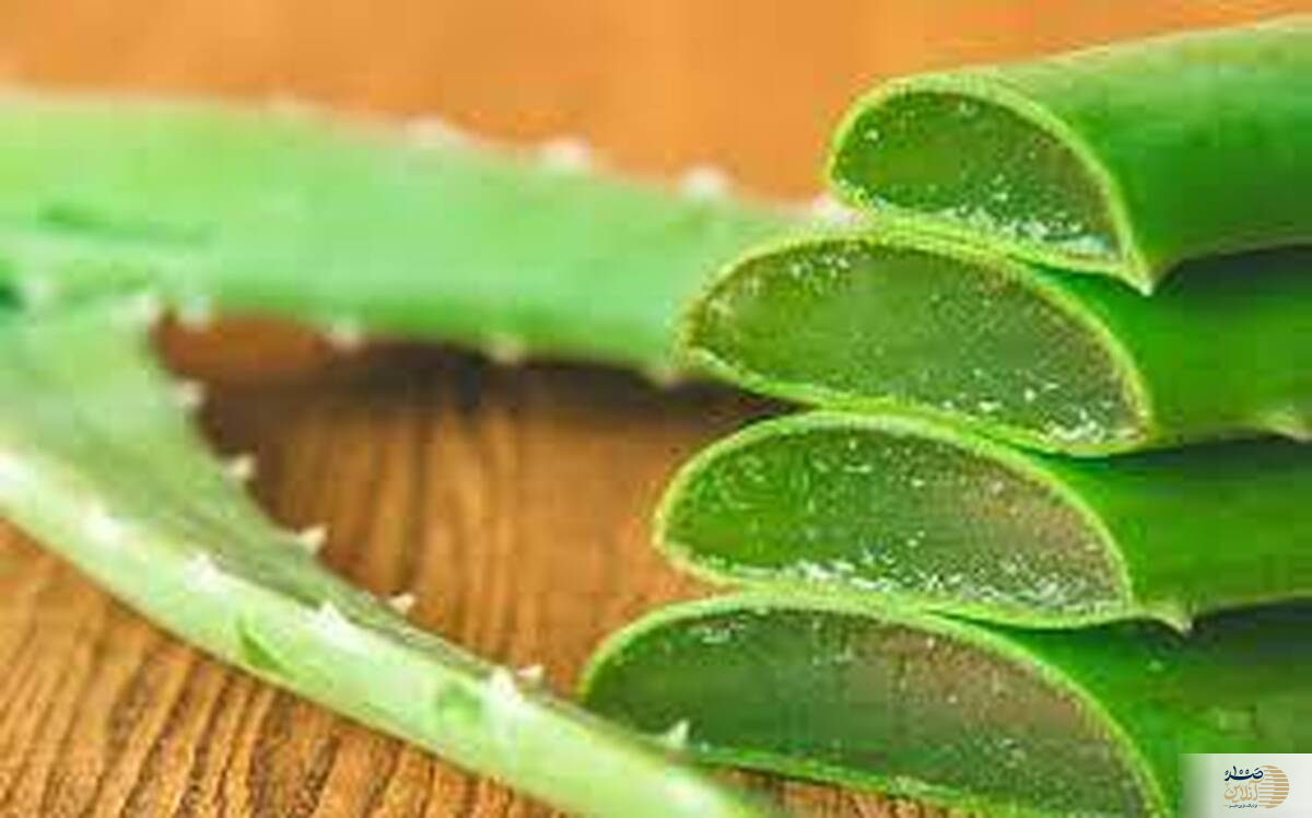 کاربردهای درمانی این گیاه که محالات است تا به امروز شنیده باشید