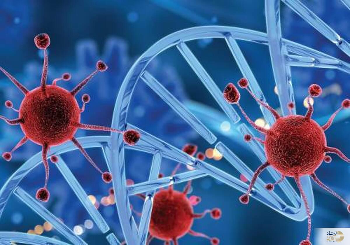 اگر به این روش راه بروید فشار خون بالای شما درمان می شود