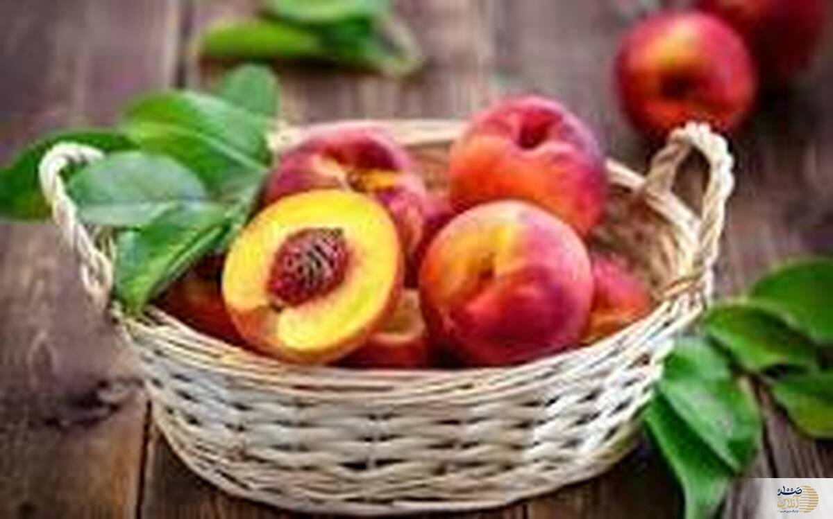 میوه طلایی برای سلامت چشم و پوست را بشناسید