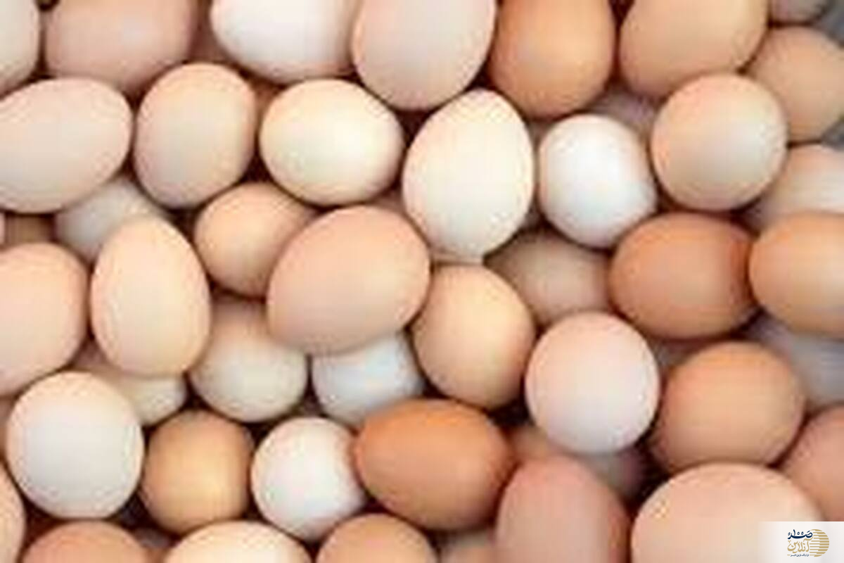باورهای غلط در مورد تخم مرغ که تا به این لحظه قبول کردید
