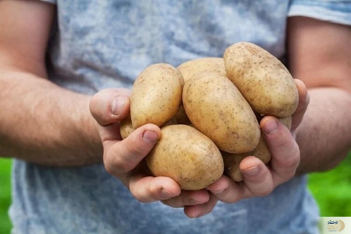 سیب زمینی را به این طریق نخورید