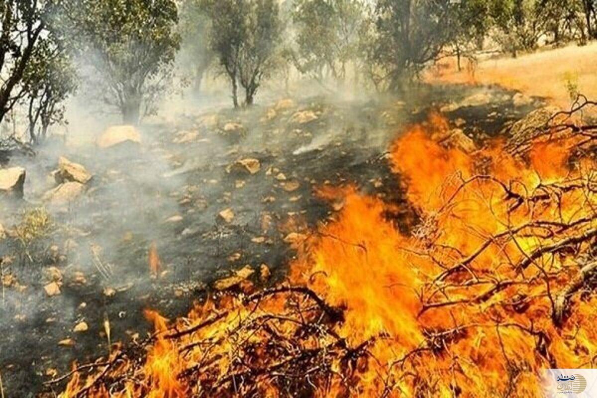 آتش‌سوزی جنگل های سنندج ۸ مصدوم بر جای گذاشت