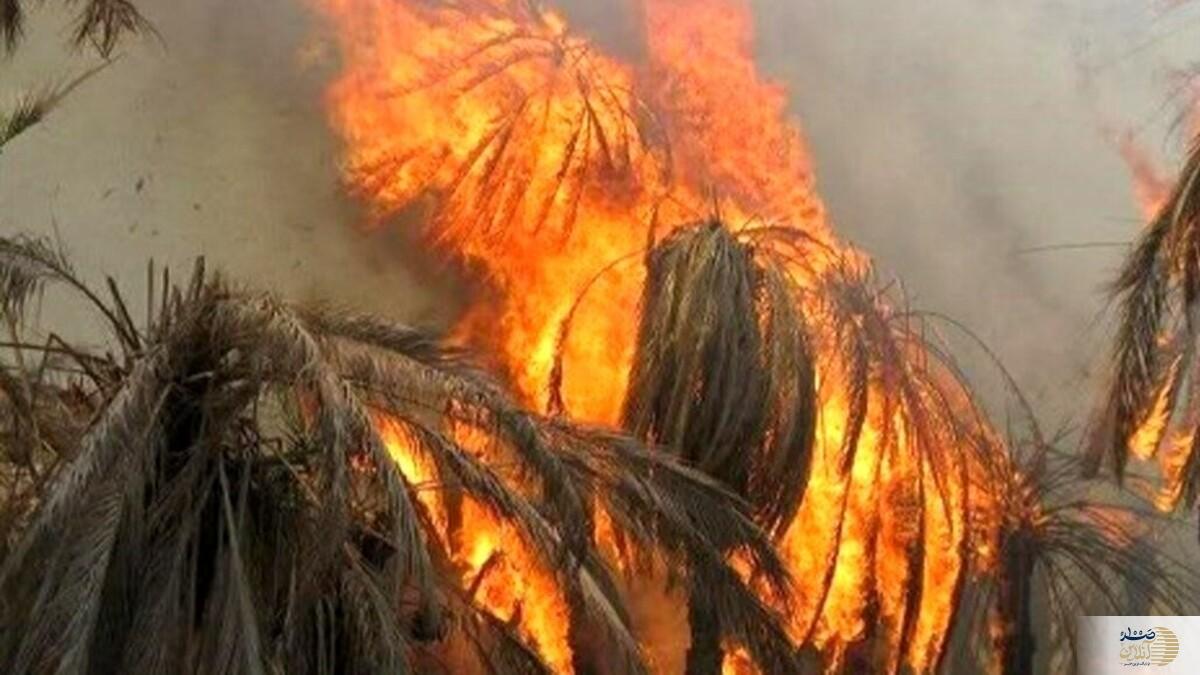 نخلستان های آبادان خاکستر شدند