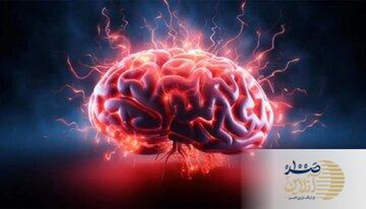 چرا وقتی هوا گرم می‌شود، یادگیری و حافظه کمتر میشود؟