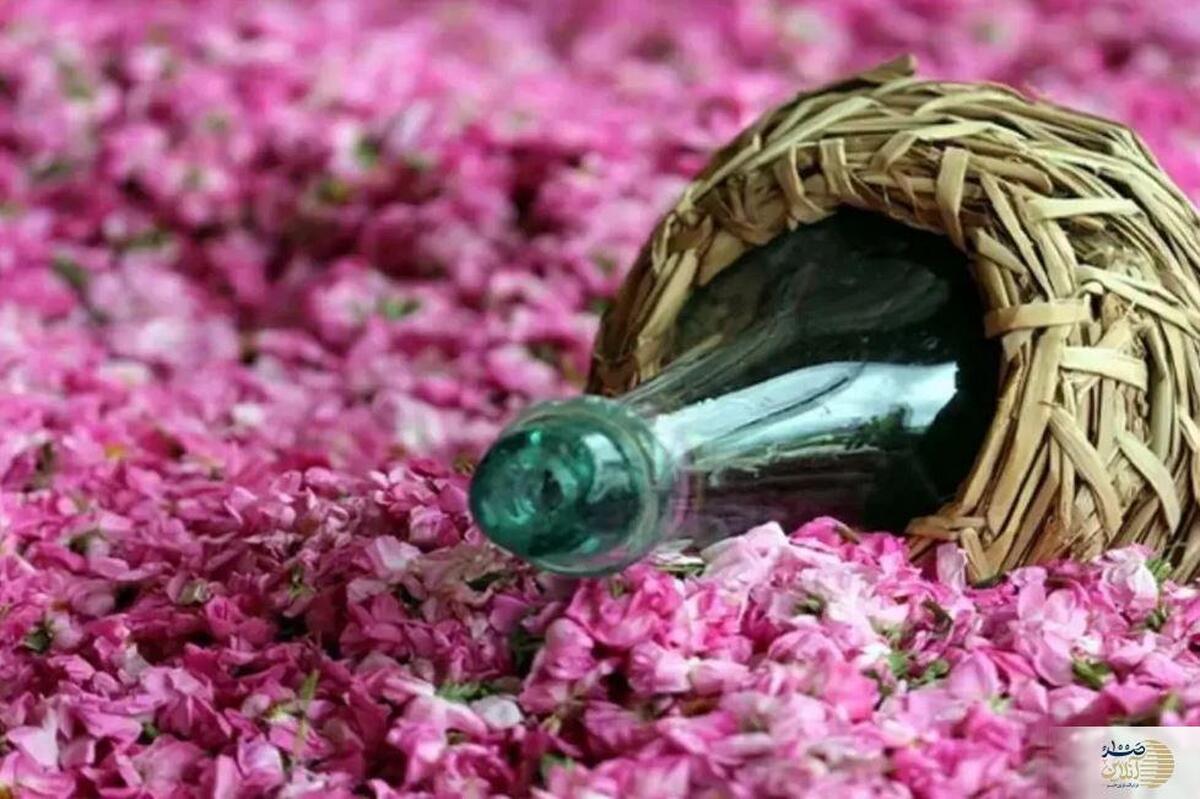 روش انجام نذر گلاب امام رضا برای هر حاجتی