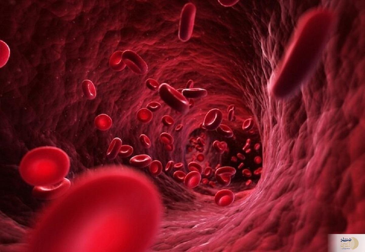 گردش خون بدن شما بمب سلامتی شماست