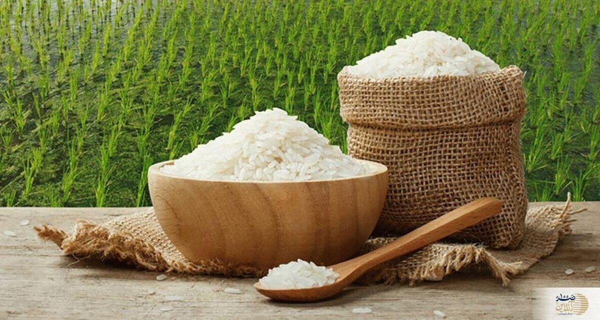 رشد قیمت برنج در بازار  میادین میوه و تره‌بار همچنان ارزان‌ترین مرجع خرید + قیمت