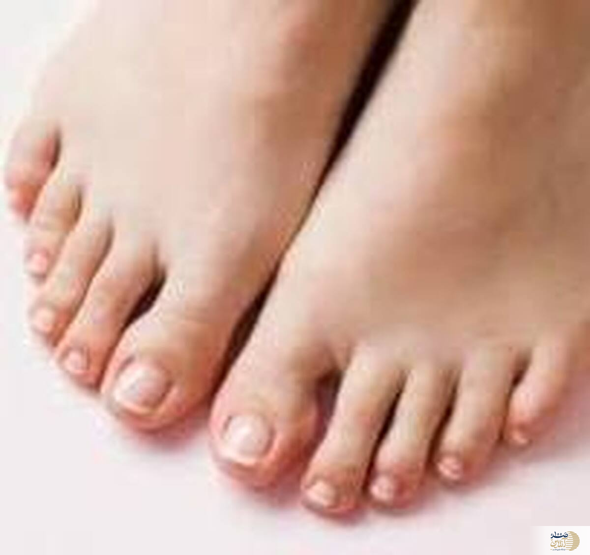 اگر شست پایتان درد می کند همین امروز به پزشک مراجعه کنید