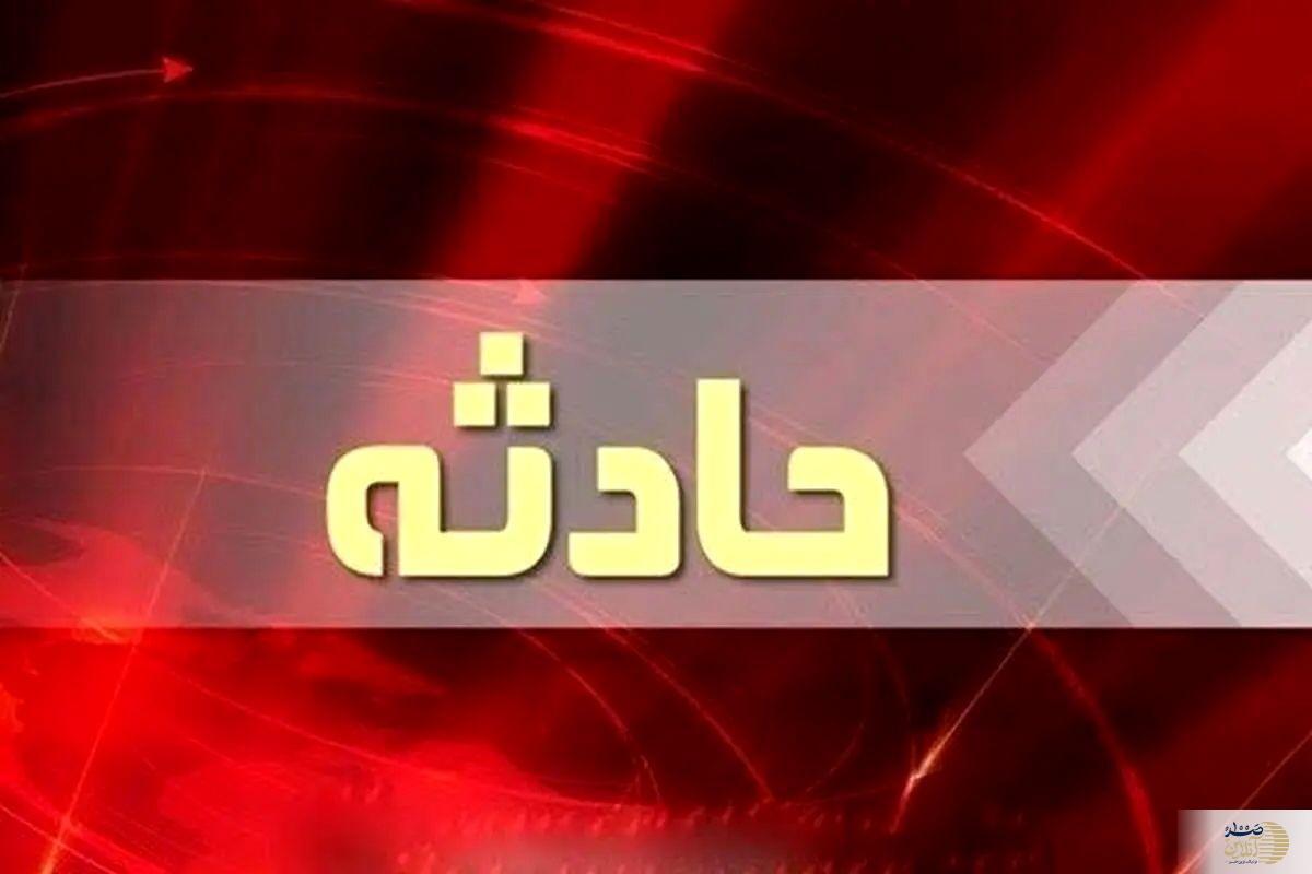 کودک ۱۰ ساله مسجدسلیمانی بر اثر حمله سگ‌های ولگرد جان باخت