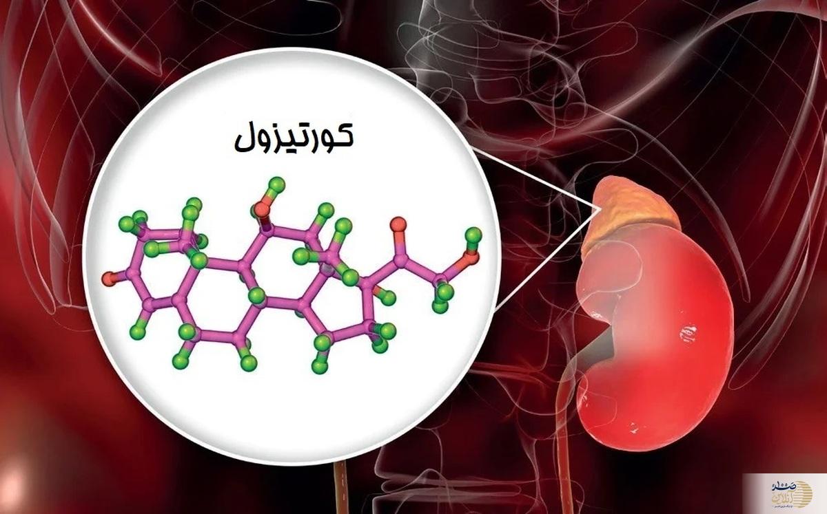 هورمون استرس بدنتان را جدی بگیرید