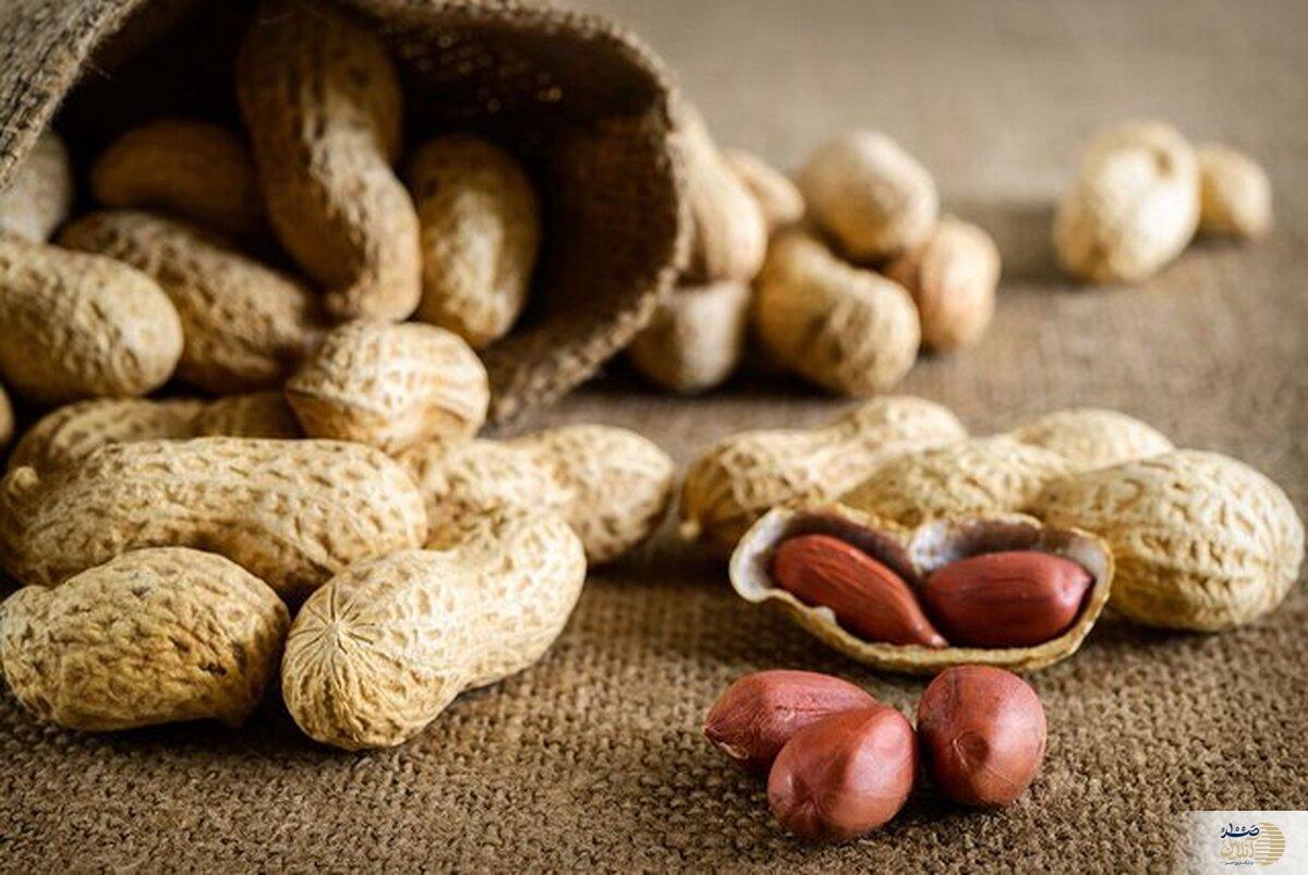 میخواهید دیرتر پیر شوید این میان وعده خوشمزه را زیاد بخورید