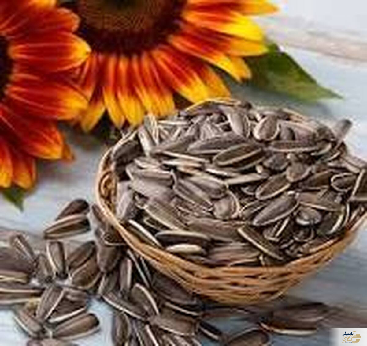 ویدیو  مصرف بیش از حد این تنقلات دوست داشتنی برای بدن ضرر دارد؟