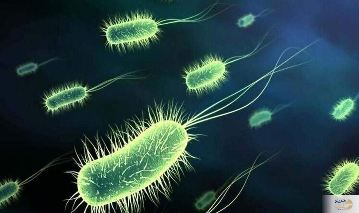این بیماری در یک قدمی شماست، جان هزاران نفر در خطر است