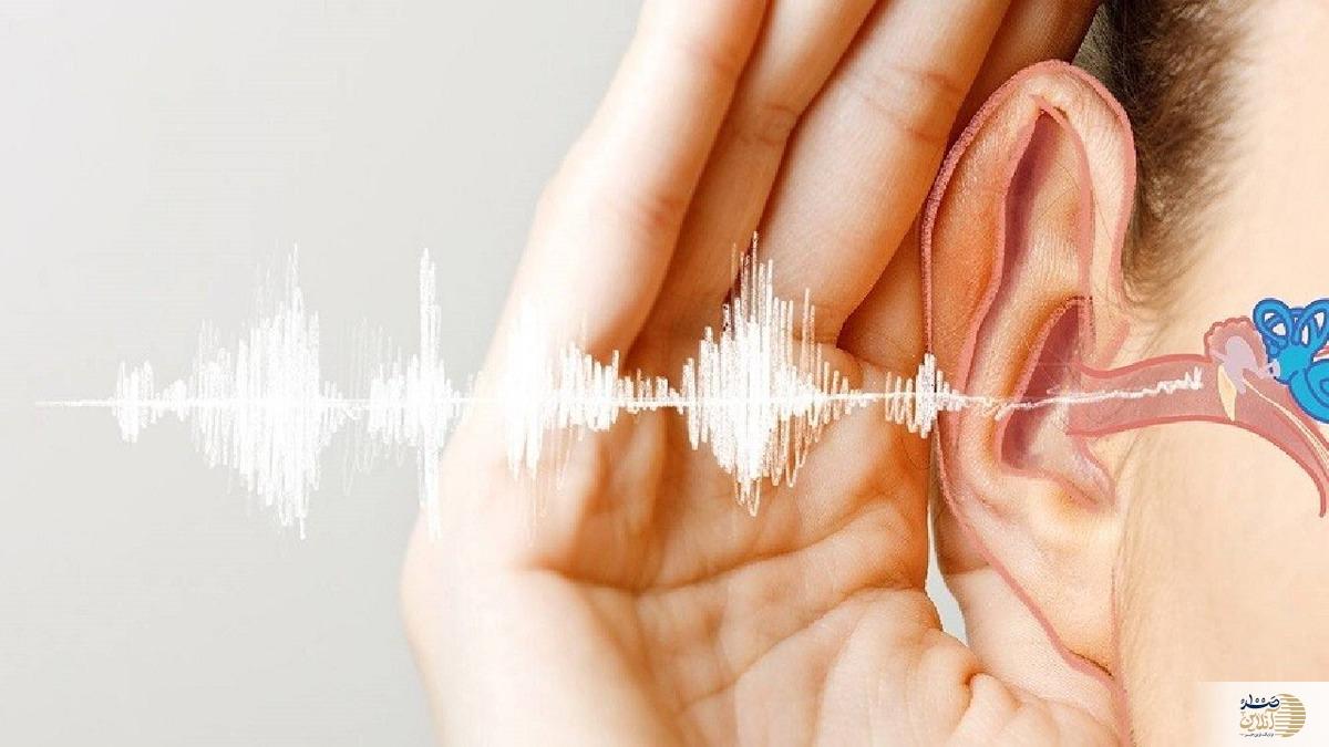 اگر گوش تان وزوز می کند به پزشک مراجعه کنید