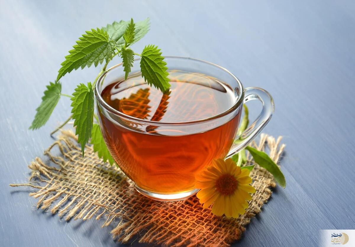 اگر می خواهید همیشه آرام باشید این دمنوش ها را به خاطر بسپارید