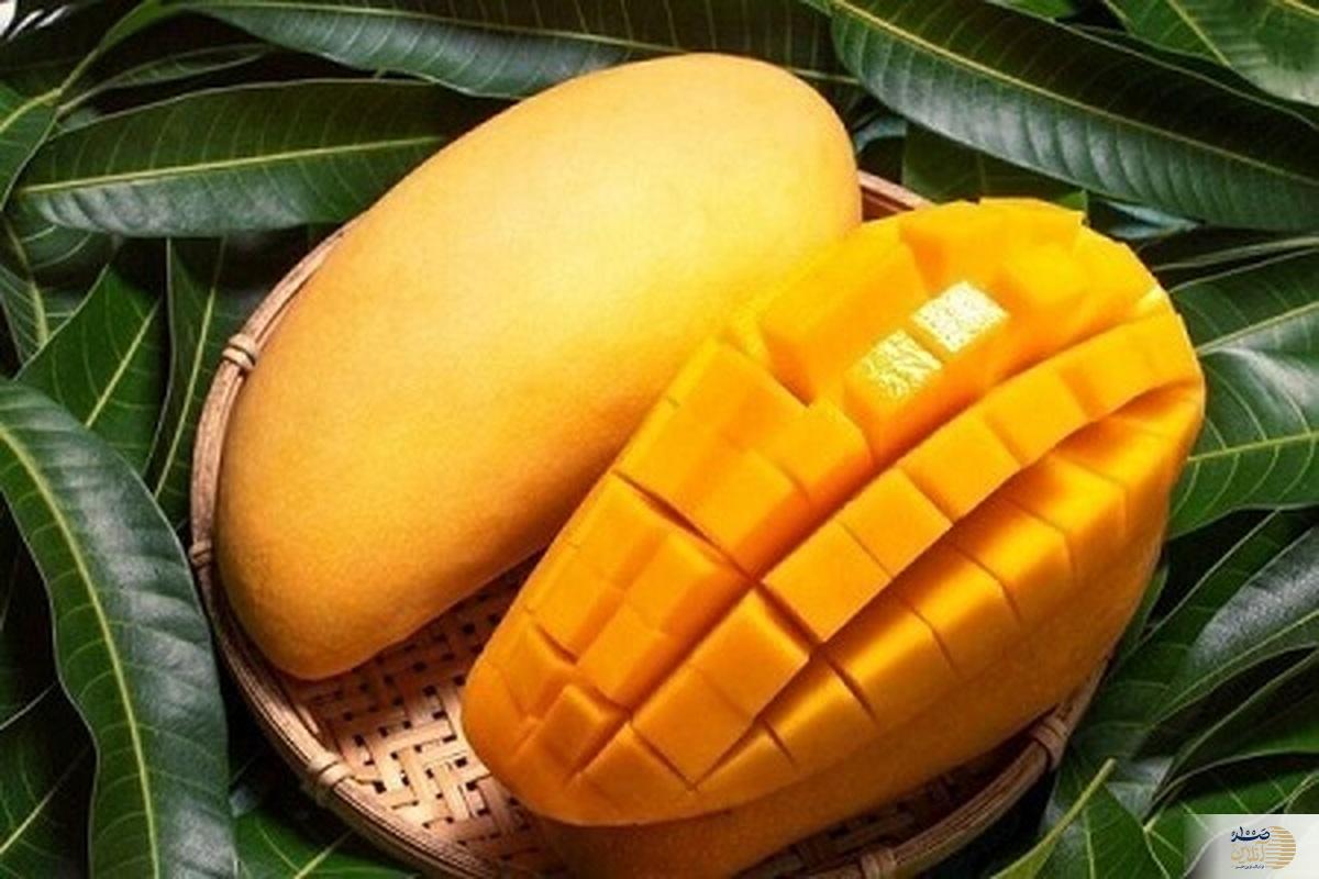 این میوه لاکچری بمب انرژی بدن شماست