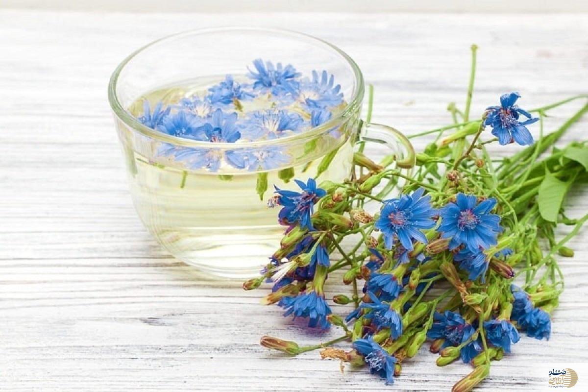 این عرق گیاهی معجزه گر پوست و کبد شماست