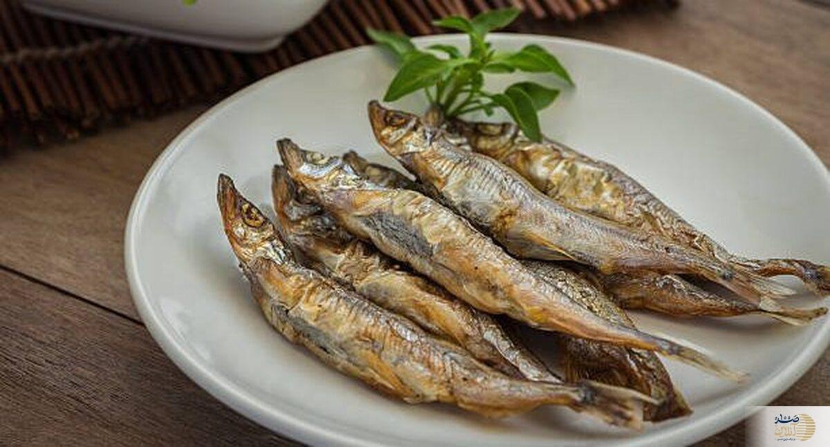 مسمومیت با این غذای دریایی را جدی بگیرید