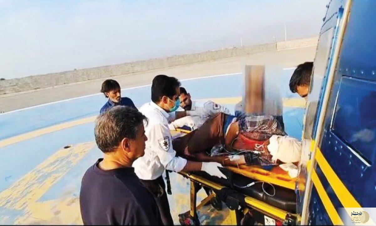 چوپان میانسال از حمله خرس سیاه جان سالم به در برد