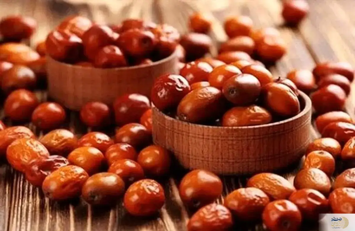 میوه کوچک قهوه ای بمب انرژی بدن شماست