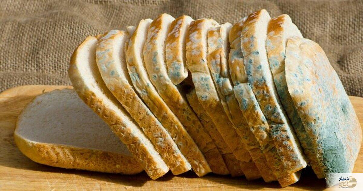 غذاهای کپک زده را به این دلیل دور بریزید
