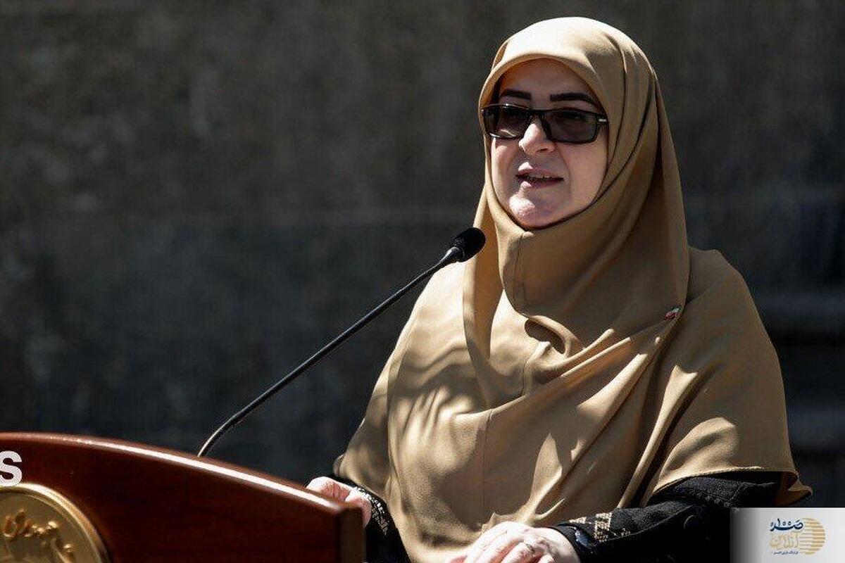 خبر خوش مهاجرانی از افزایش اعتبار کارت رفاهی خبر خوش مهاجرانی از افزایش اعتبار کارت رفاهی