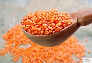 این نوع عدس قاتل قند خون شماست