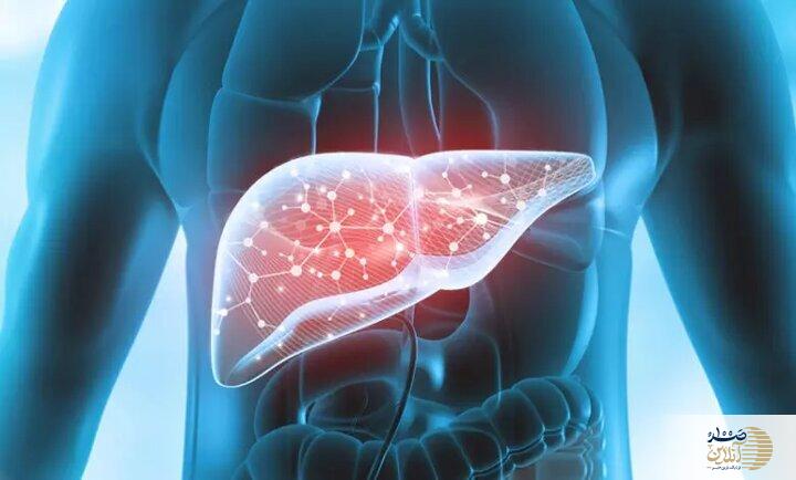 آب زرشک، اکسیر طبیعی برای سلامت و پاکسازی کبد